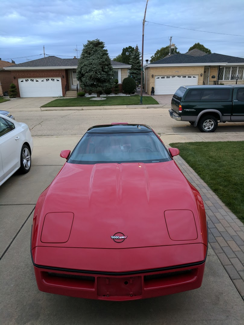 Illustration for article titled 1989 Corvette: The Oppo Review